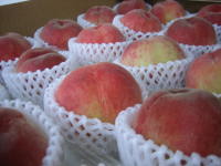 asa2008_0706AG.JPG
