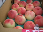 asa2009_0705AO.jpg