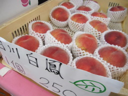 asa20120701093.JPG