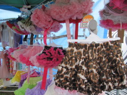 asa20120701254.JPG