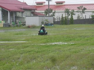 IMG_1471_320.JPG