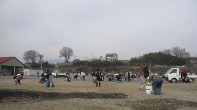 IMG_3612_400.jpg