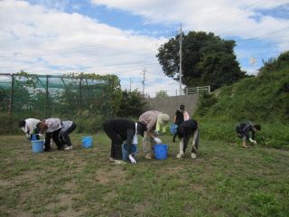 IMG_6043_320.jpg
