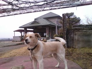 SN3R0332_320.jpg
