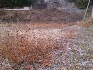 SN3R0336_320.jpg