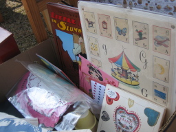asa2009_1004CT.jpg