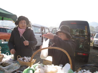 asa20121202-122.JPG
