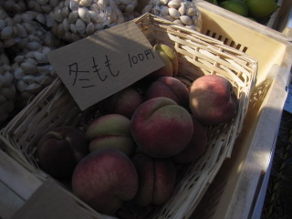 asa20121202-130.JPG