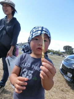 asa20131006-0771.JPG