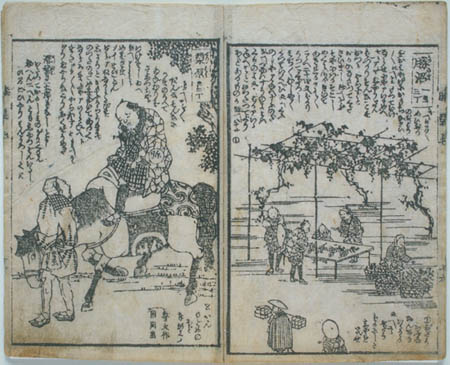 koshu-hizakurige.jpg